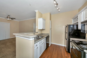 Photo of apartment kitchen